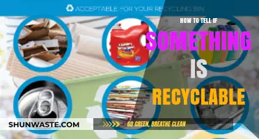 Recycling Made Easy: How to Identify Recyclable Items Quickly