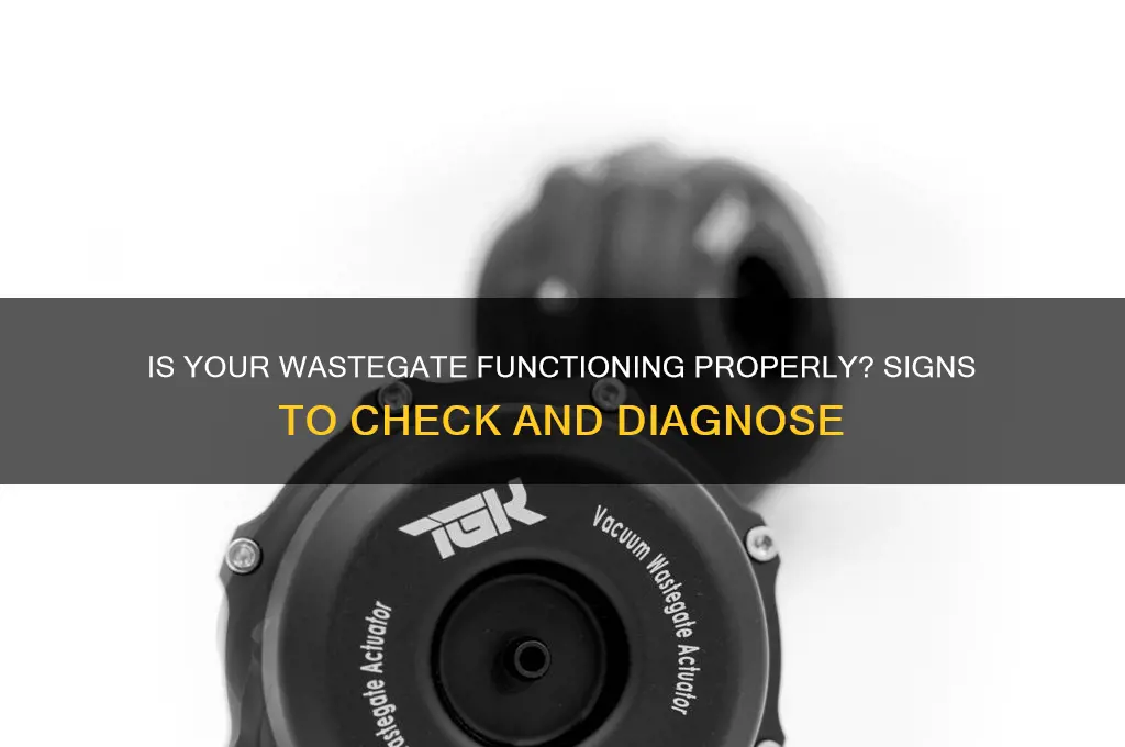 how to tell if waste gate is working