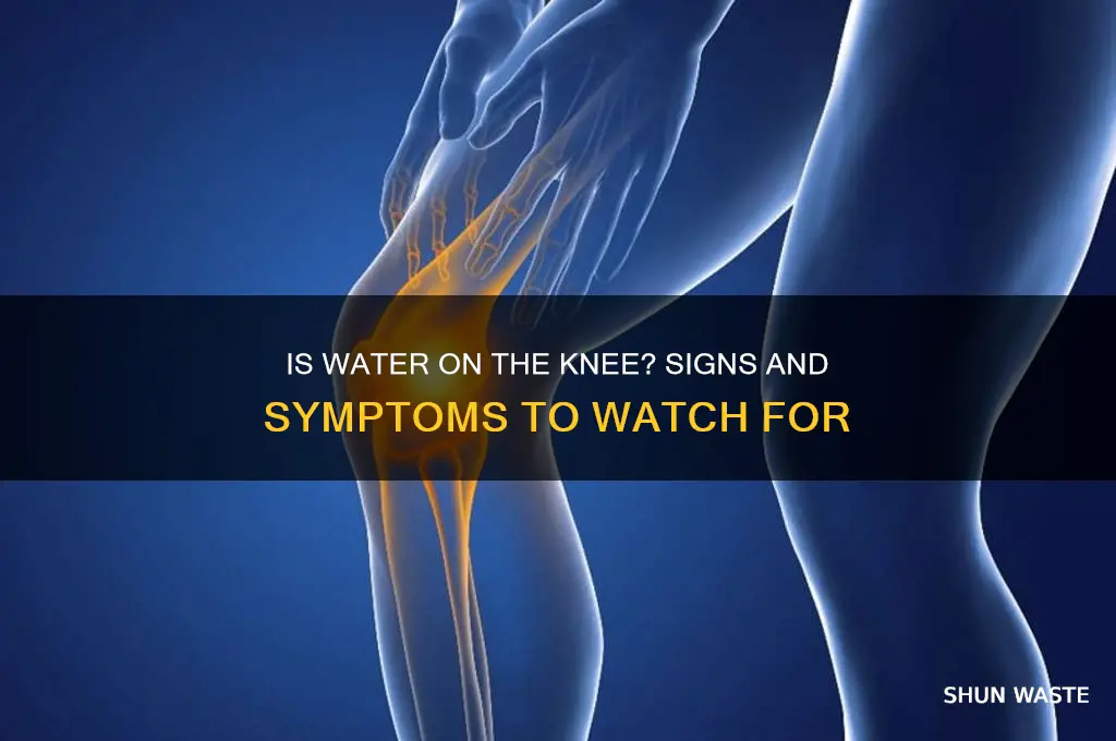 how to tell if waster is in your knee