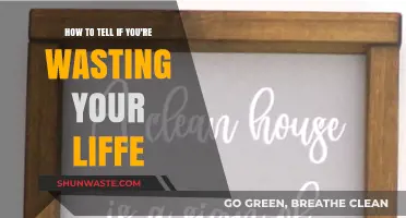 Are You Wasting Your Life? Signs and Solutions to Reclaim Purpose