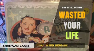 Have You Wasted Your Life? Signs and Self-Reflection Guide