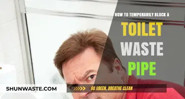 Quick Fix: Temporarily Blocking a Toilet Waste Pipe Easily