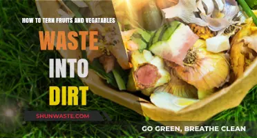 Transforming Food Scraps: A Guide to Composting Fruits and Vegetables