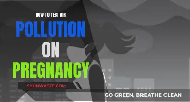 Air Pollution and Pregnancy: Testing for Safe Births