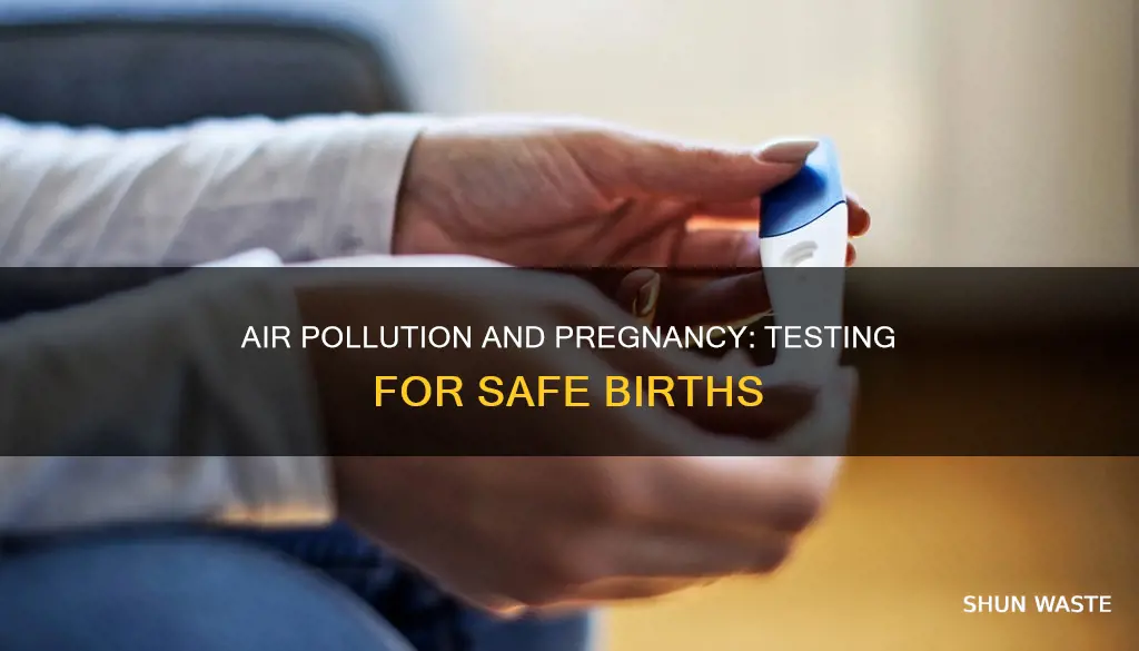 how to test air pollution on pregnancy