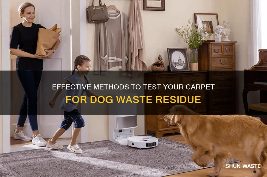 how to test carpet for dog waste