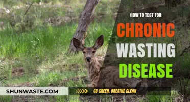 Effective Testing Methods for Chronic Wasting Disease Detection