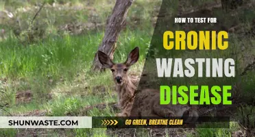 Effective Testing Methods for Chronic Wasting Disease Detection