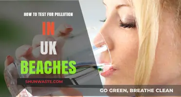 Testing UK Beach Pollution: A Guide to Monitoring Water Quality
