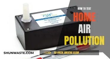 Testing Home Air: Simple DIY Methods to Try