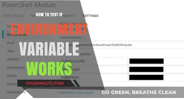 Testing Environment Variables: A Step-by-Step Guide to Ensure They Work