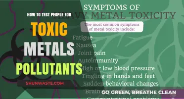 Testing for Toxic Metals: Pollution's Impact on Health