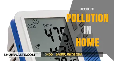 Testing Home Pollution: DIY Methods to Try