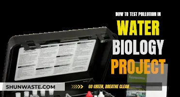 Unveiling Water Pollution: A Comprehensive Guide to Testing in Biology Projects