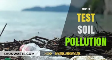 Testing Soil Pollution: DIY Methods and Solutions