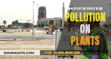 Air Pollution's Impact on Plants: Testing Methods