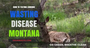 Montana's Fight Against Chronic Wasting Disease: Effective Testing Strategies