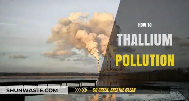 Thallium Pollution: Reducing Toxic Threats
