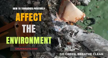 Tornadoes' Surprising Environmental Benefits: A Force of Renewal