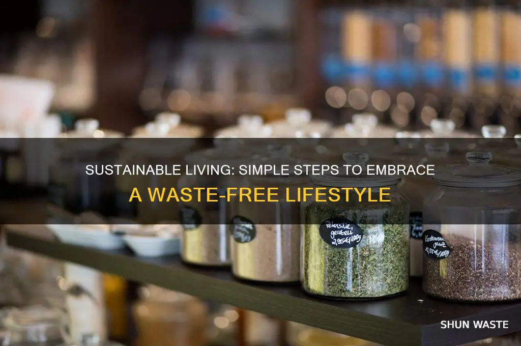how to transition to a waste free lifestyle