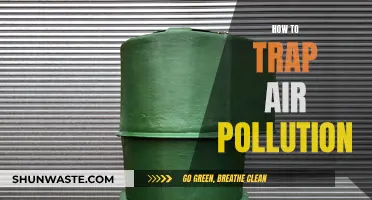 Trapping Air Pollution: Innovative Methods to Combat Smog