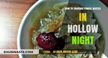 Mastering Hollow Night: Safe Fungal Wastes Navigation Tactics Revealed
