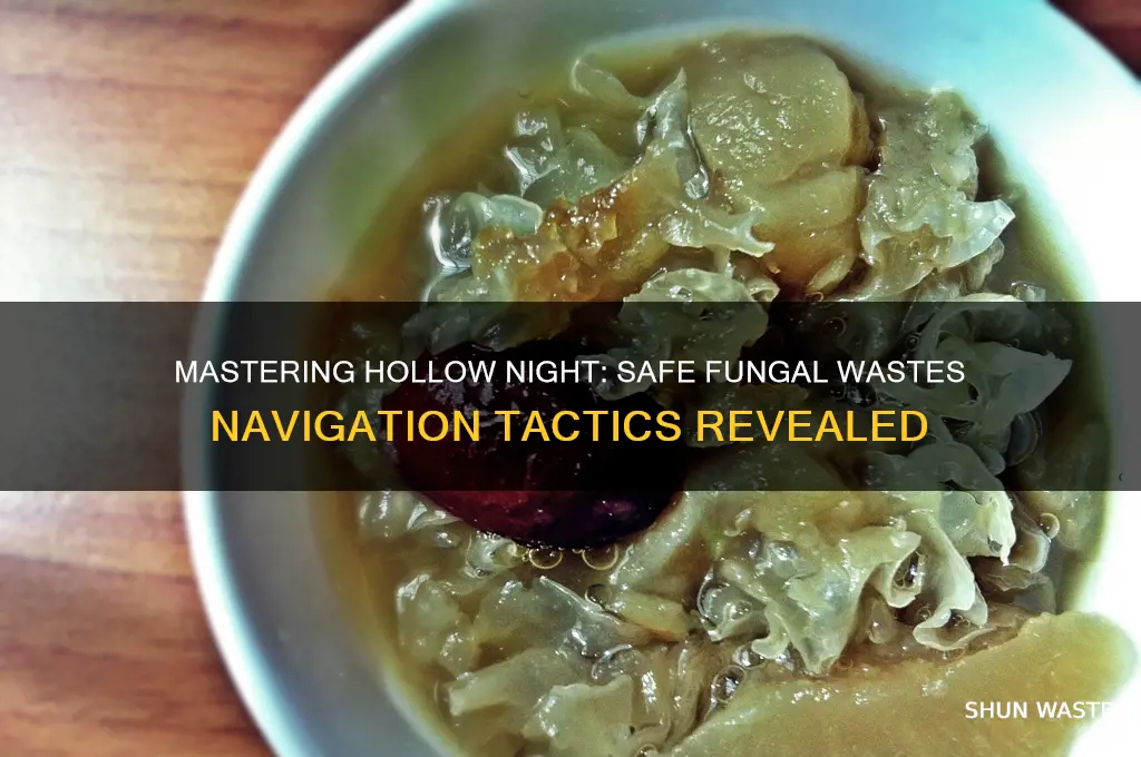 how to traverse fungal wastes in hollow night
