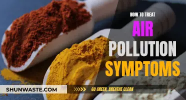 Treating Air Pollution Symptoms: A Guide to Breathe Easy