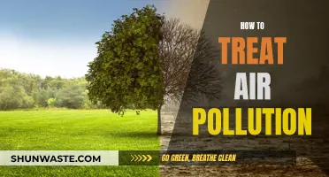 Air Pollution: Strategies for Improvement and Clean Air