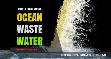Effective Strategies for Treating and Managing Excess Ocean Wastewater