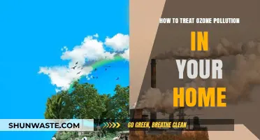 Treating Ozone Pollution: Purifying Your Home's Air