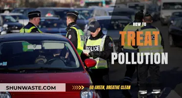Treating Pollution: Strategies for a Sustainable Future