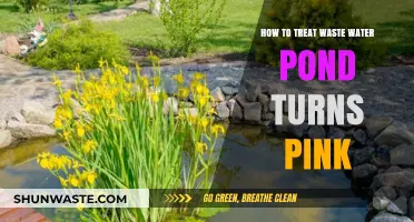 Treating Pink Wastewater Ponds: Causes, Solutions, and Environmental Impact