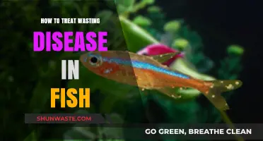 Effective Treatment Strategies for Fish Wasting Disease: A Comprehensive Guide
