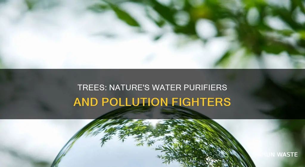 how to trees reduce water pollution