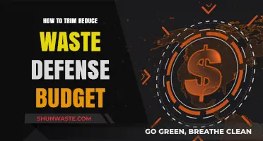 Strategic Defense Budget Trimming: Reducing Waste, Maximizing Efficiency, and Strengthening Security