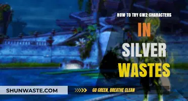 Mastering Guild Wars 2: Testing Characters in Silverwastes Effectively