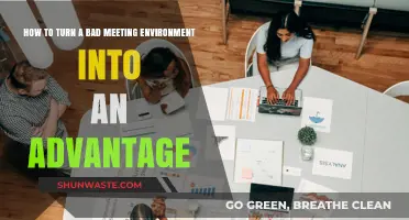 Transforming Chaos: Leveraging Bad Meeting Environments for Strategic Success