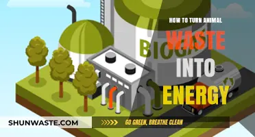 Transforming Animal Waste into Clean, Sustainable Energy Solutions
