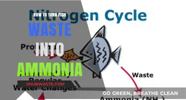 Transforming Fish Waste: A Simple Guide to Producing Ammonia