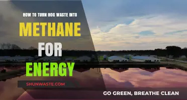 Transforming Hog Waste into Clean Methane Energy: A Sustainable Solution