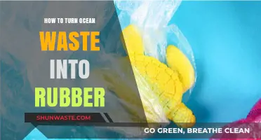 Transforming Ocean Waste into Sustainable Rubber: A Green Innovation Guide