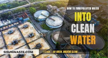 Purifying Polluted Waters: A Comprehensive Guide to Water Treatment