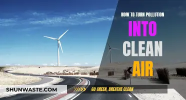 Turning Pollution into Clean Air: Innovative Solutions for a Greener Future