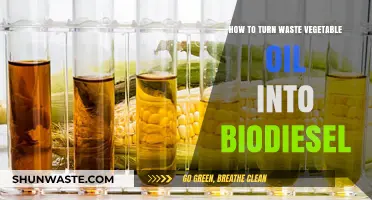 Transforming Waste Vegetable Oil into Eco-Friendly Biodiesel: A DIY Guide