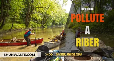 Reviving Rivers: Strategies for Unpolluting Waterways