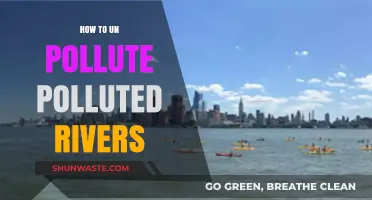 Reviving Polluted Rivers: Strategies for Restoration and Rehabilitation