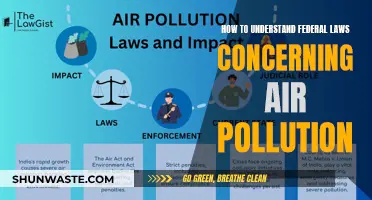 Understanding Federal Air Pollution Laws: A Comprehensive Guide