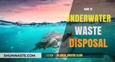 Eco-Friendly Solutions: The Ultimate Guide to Underwater Waste Disposal