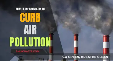 Chemistry's Role in Fighting Air Pollution